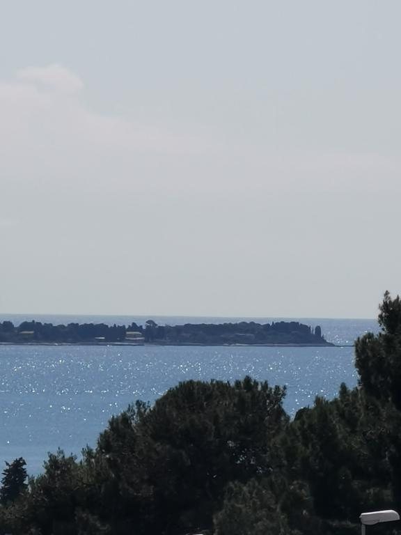 Pogled s posjeda na Brijunsko otočje i more kroz krošnje borova.